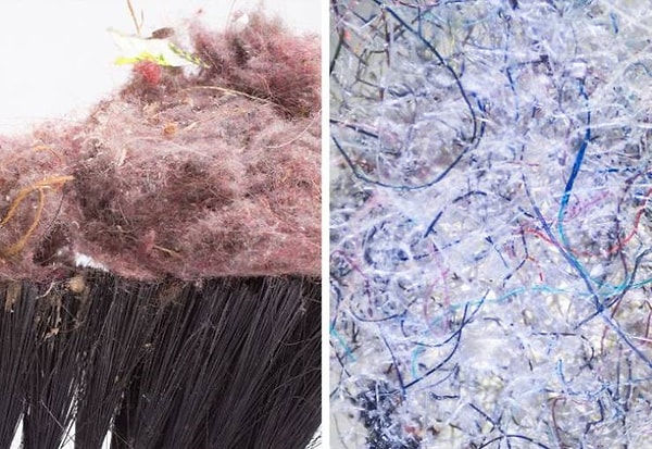 10. Обыкновенная домашняя пыль