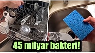 Mutfakların Demirbaşı Bulaşık Süngerleriyle Dışkılardaki Bakteri Sayısının Aynı Olduğunu Biliyor muydunuz?
