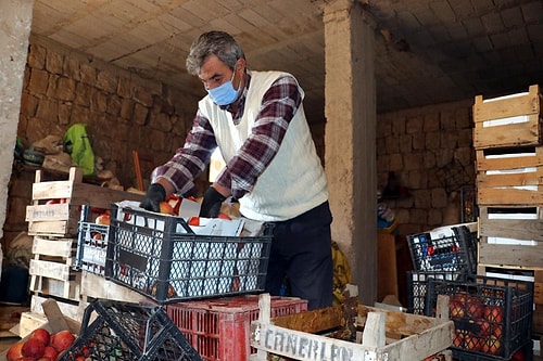 Bakanlık 'Çürük Elmadan Meyve Suyu' İddiasını Araştırdı: 'Herhangi Bir Olumsuzluğa Rastlanmadı'