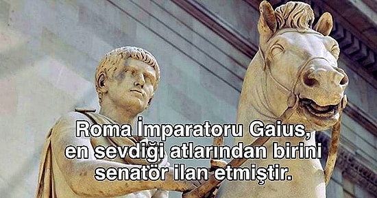 Okuyanı Hayretler İçinde Bırakacak, İnsanlık Tarihine Işık Tutan 14 Şaşırtıcı Bilgi