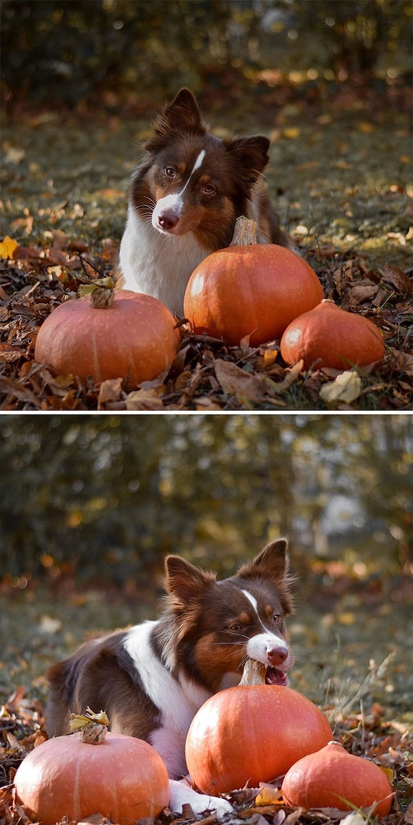 1. Они публикуют свои "реальные" снимки рядом с "идеальными" под хэштегом #instagramvsreality, который насчитывает более 167 тысяч постов, и этот тренд не может не радовать!