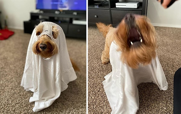 2. Такая честность (в то время как все остальные сходят с ума, пытаясь достичь совершенства в Интернете) не только радует, но и дает понять, что ничья жизнь не идеальна.