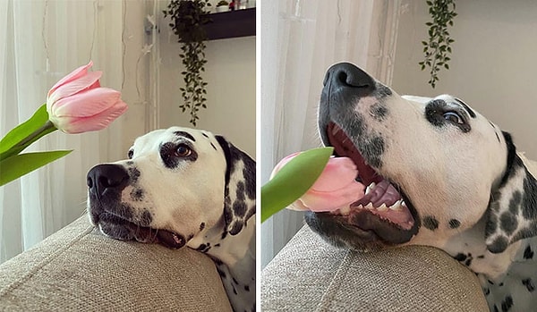 3. Профессиональным фотографам Instagram, блогерам-инфлюенсерам и моделям приходится каждый день разбираться в тонкостях социальных сетей.