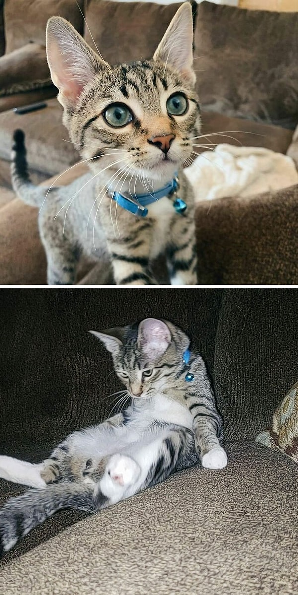 6. Другими словами, инстаграмеры всегда думают о том, как же сделать идеальный снимок.