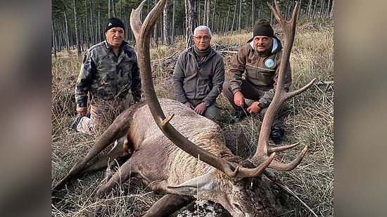 MHP'li Eski Başkan, Nesli Tükenmekte Olan Kızıl Geyiği Öldürdü: 'Bütün Avcı Dostlarıma Rastgele Diyorum'