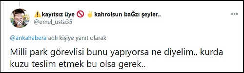 MHP'li Eski Başkan, Nesli Tükenmekte Olan Kızıl Geyiği Öldürdü: 'Bütün Avcı Dostlarıma Rastgele Diyorum'