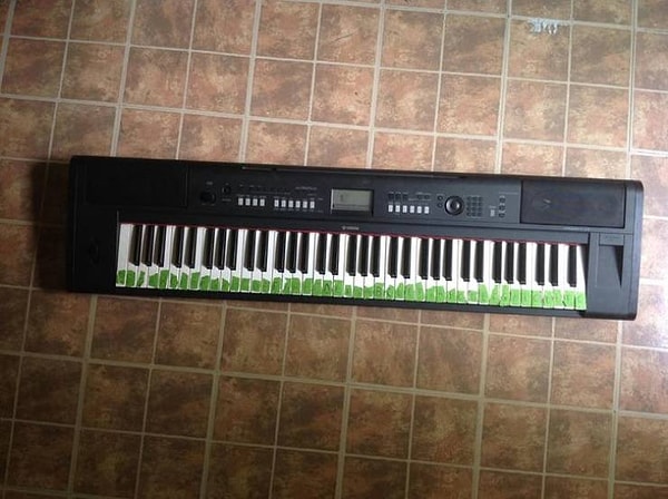 4. "Я нашел его на помойке, но его предыдущий владелец хорошенько позаботился о том, чтобы оставить его на видном месте. Спасибо тебе, неизвестный музыкант!"