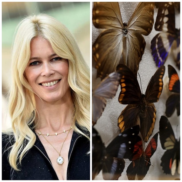 6. Claudia Schiffer: Böcek koleksiyonu