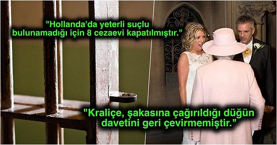 Acayip Bilgiler Kuşağı: Hayatınızı Değiştirmese de Cümle Arasında Sıkıştırıp Hava Atabileceğiniz 15 İlginç Gerçek