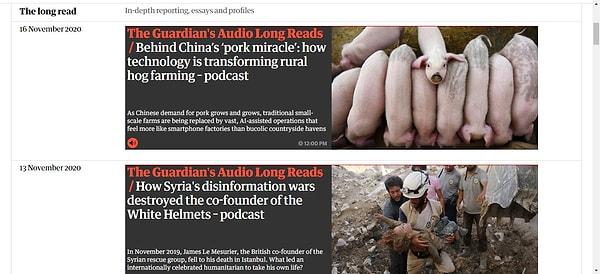 5. The Long Read (The Guardian)