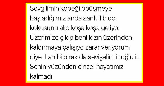 Cinsel İlişki Sırasında Yaşadıkları Küçük Ama Can Sıkıcı Detayları Paylaşarak Hepimizi Güldüren Kişiler