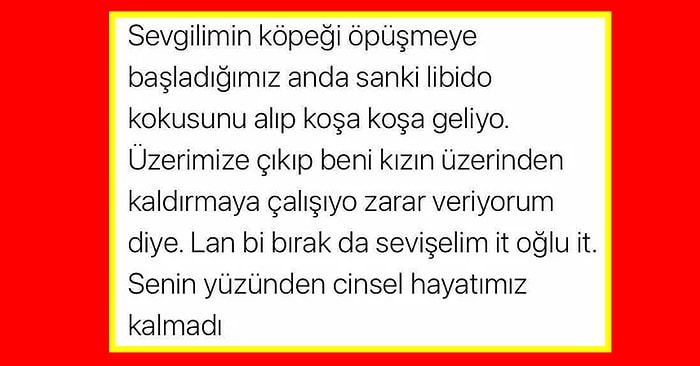Cinsel İlişki Sırasında Yaşadıkları Küçük Ama Can Sıkıcı Detayları Paylaşarak Hepimizi Güldüren Kişiler