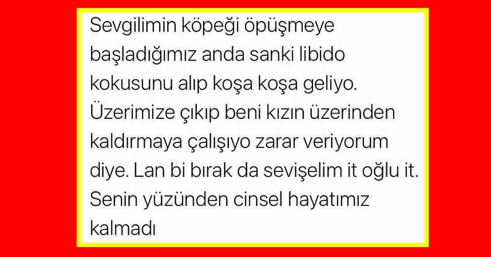 Cinsel İlişki Sırasında Yaşadıkları Küçük Ama Can Sıkıcı Detayları Paylaşarak Hepimizi Güldüren Kişiler
