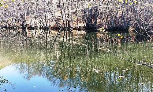 Sapanca Gölü'nde Su Seviyesi Kritik Noktaya Doğru Düşüyor