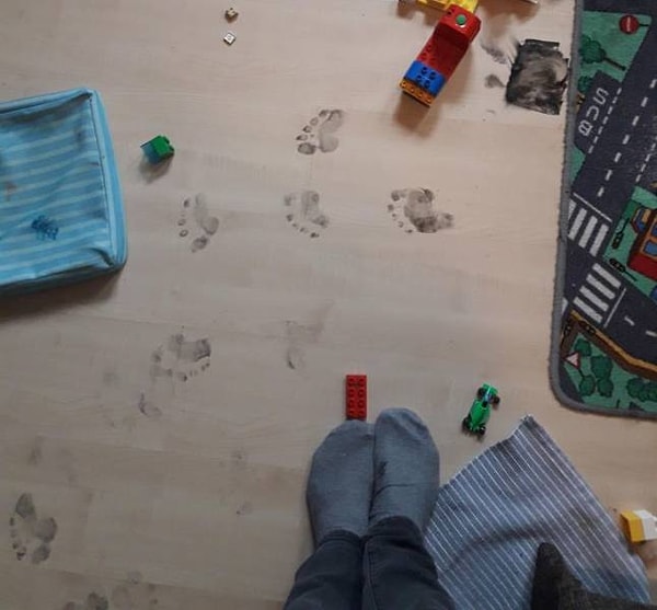 4. "Меня только что убеждали в том, что это кот наследил".