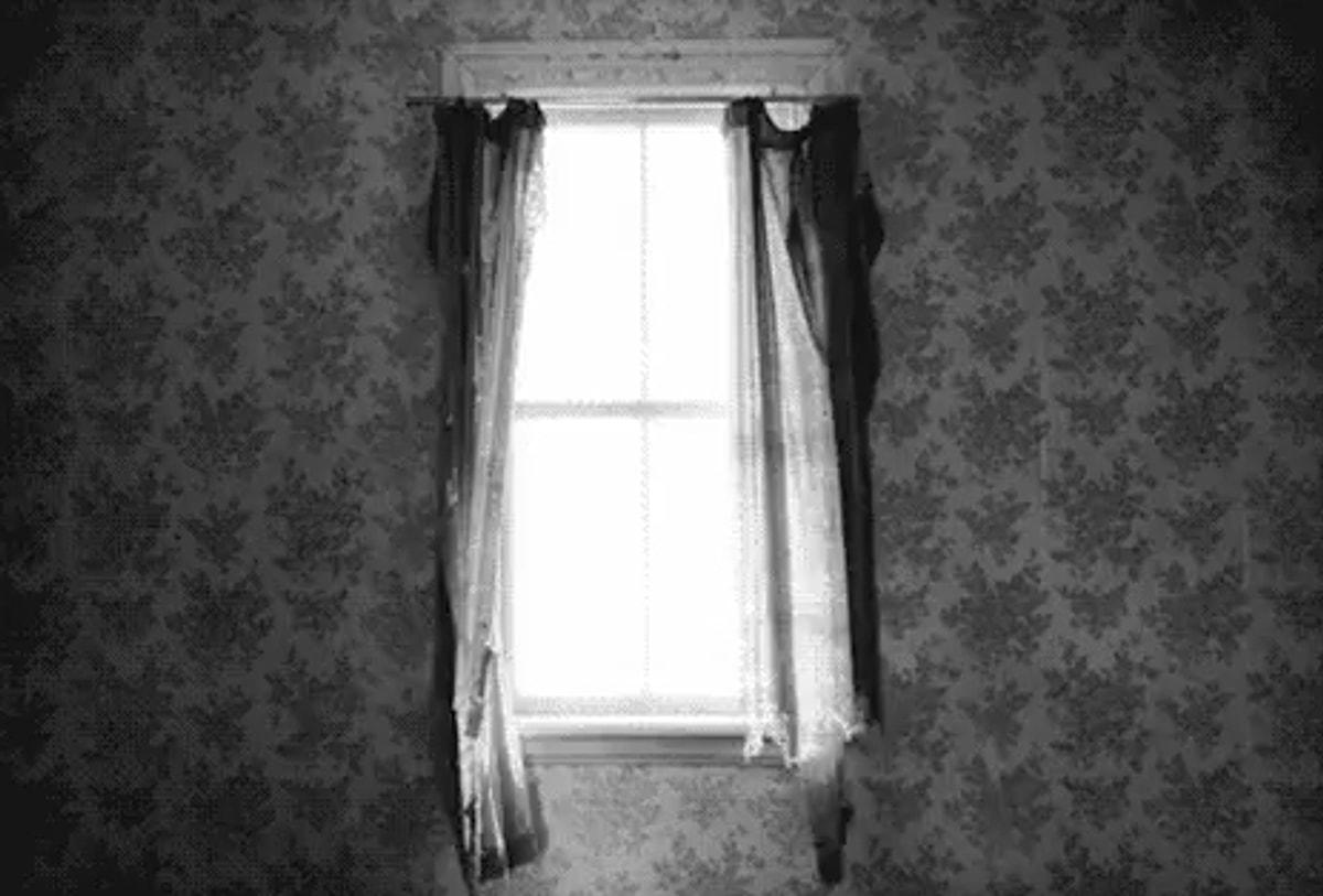 Окно занавешено побеленный потолок дрессированные звери. Окно с занавеской gif. Страшные шторы. Гиф занавески на окне.