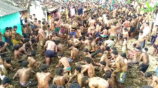 Korona Partisi: Hindistan'da Düzenlenen Gübre Festivalinden İlginç Görüntüler