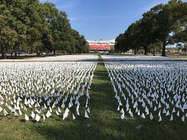 1. Washington D.C.'de gönüllüler, Kovid-19 yüzünden yaşamlarını kaybetmiş kişileri anmak için yüz binlerce bayrak dikti.