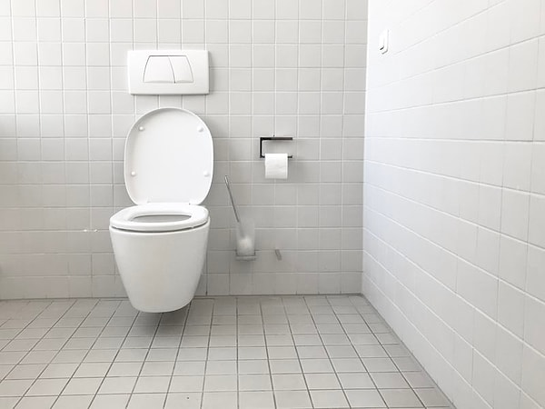 1. Dünyanın çoğu yerinde tuvaletler yere bağlıyken, Almanya'daki tuvaletler duvara bağlıdır.