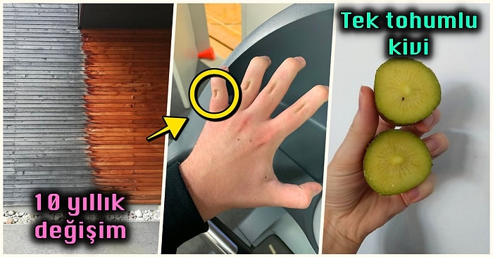 Hep Aynı Şeyleri Görmekten Sıkılanları İlginçliğe Doyuracak Birbirinden Acayip 15 Yeni Görsel