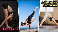 Evde Zayıflamak ve Güne Daha Zinde Başlamak için Öğrenmeniz Gereken 10 Temel Yoga Pozu