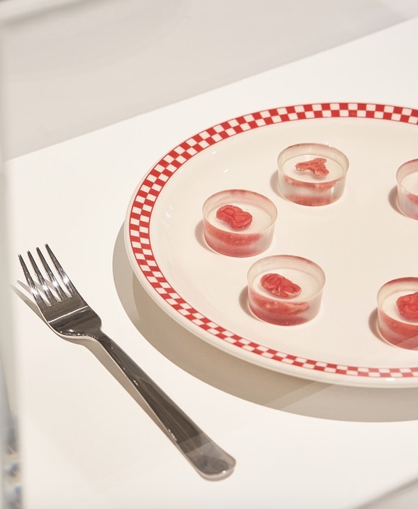 Бифштекс был приготовлен из клеток, взятых из внутренней стороны щеки и было пропитано сывороткой с просроченной кровью.