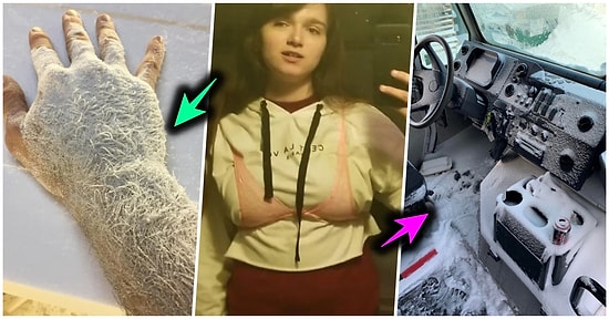 Çöle Düşse Kutup Ayılarıyla Karşılaşıp Birtakım Tatsız Olaylar Yaşayabilecek 17 Bahtsız Kişi