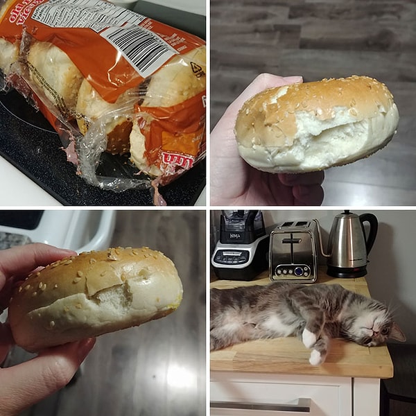 25. "Наша кошка разозлилась на нас, что мы вовремя не появились дома, чтобы покормить ее. В качестве мести она разорвала пакет с булочками и надкусила КАЖДУЮ ИЗ НИХ!"