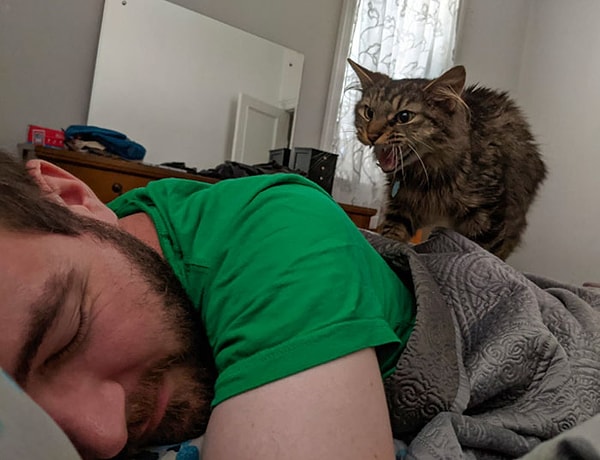 24. "Вставай уже, Дэйв, и накорми меня наконец!"