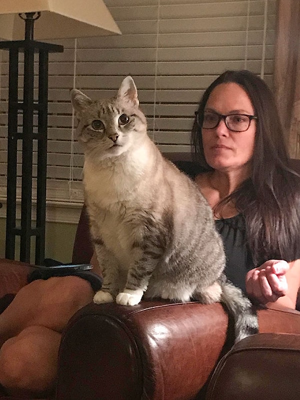 25. "Наш кот умеет выбрать в комнате того единственного человека, который страдает от аллергии на кошачью шерсть, и устроиться рядом с ним".