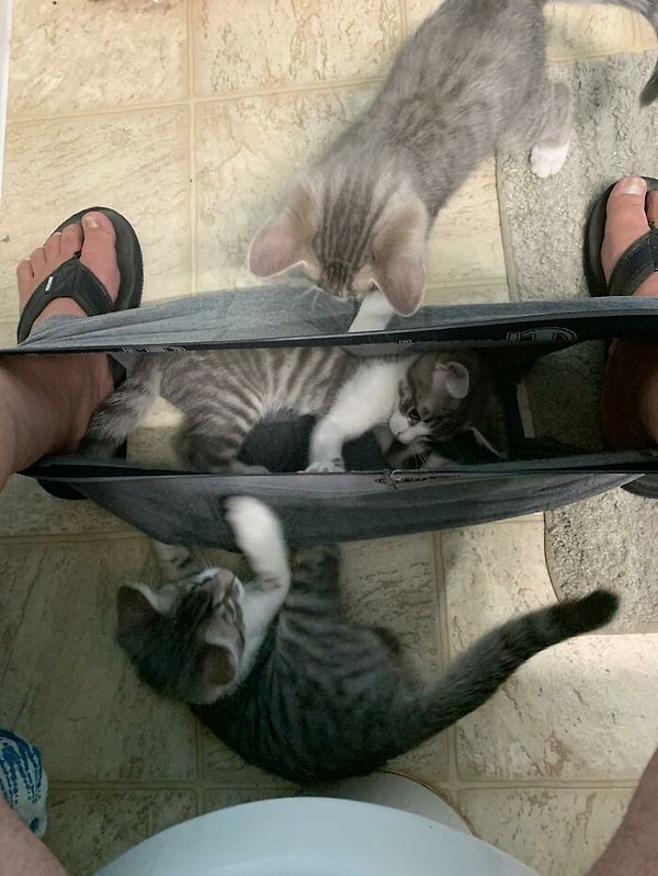 5. "Личное пространство? А шнурки тебе не погладить, человек?"