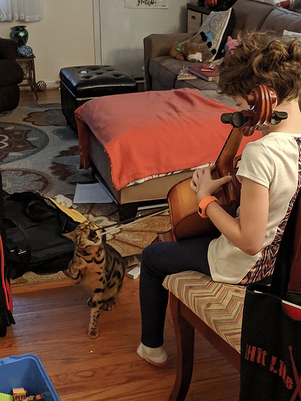 10. "Наш авторитетный музыкальный критик".