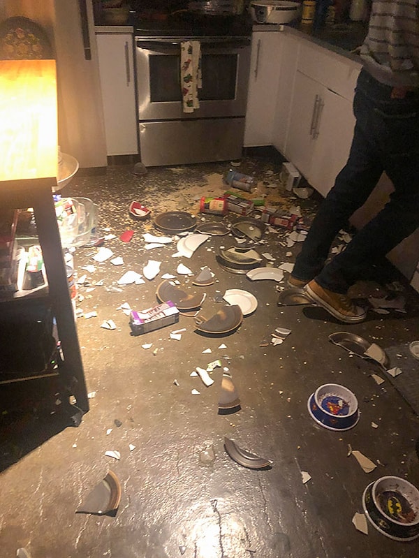 11. "Наши коты решили устроить небольшую перестановку, пока нас не было дома".