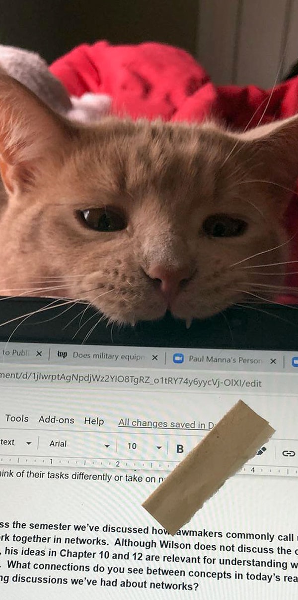 17. "Приятель, я пытаюсь сделать свою домашнюю работу!"