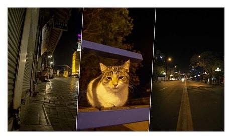 Türkiye Geneli Sokağa Çıkma Yasağı Başladı: Sokaklar Sokak Hayvanlarına Kaldı