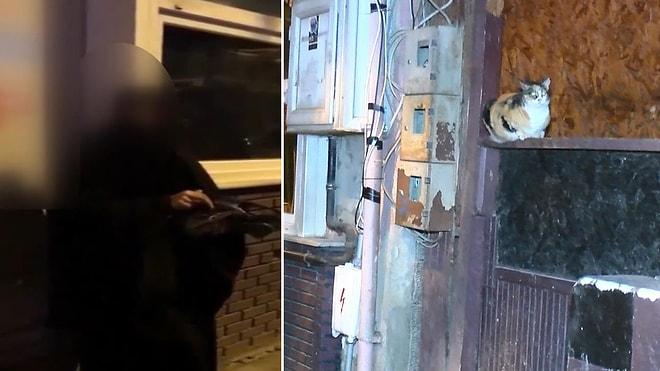Tuzla'da Kan Donduran Olay! Yavru Kediyi Kesip Yemeye Götürürken Yakalanan Kadın İfadesinde Her Şeyi İtiraf Etti