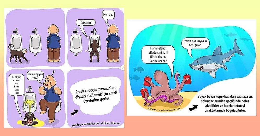 Hayvanlar Alemiyle İlgili Birbirinden Enteresan Gerçekleri Çizime Dökerek Bizlerle Buluşturan Karikatür Sanatçısı