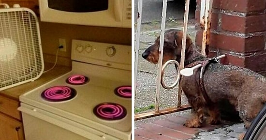 16 раз, когда проблемы решались настолько "гениально", что хочется спросить: "Почему я до такого не додумался?!"