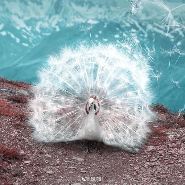 4. Временная красота