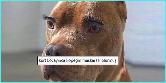 Kelime Oyunlarıyla İnsana Yer Yer Soğuk Terler Döktüren Yer Yer Kahkaha Attıran 15 Kişi