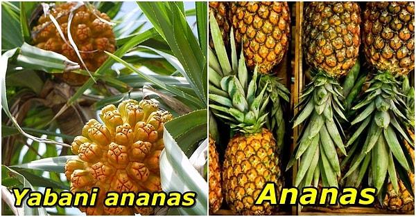 7. Ananas