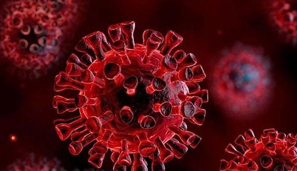 Sars Virüsü'nün Belirtileri Nelerdir?