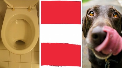 14 интересных фактов о жителях Австрии, которые у приезжих вызывают только недоумение