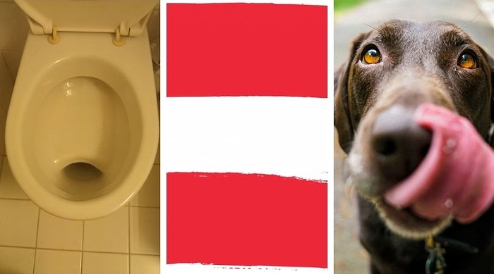 14 интересных фактов о жителях Австрии, которые у приезжих вызывают только недоумение