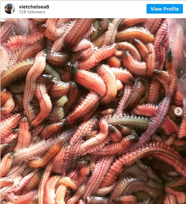 3. Перед добавлением в омлет вьетнамцы обычно отваривают песчаных червей, чтобы удалить их щупальца и рыбный запах.