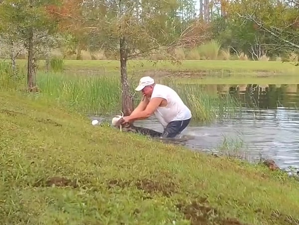 3. Вытащить на берег аллигатора (который, к счастью, был небольшим - около 60 см) было не так сложно, как разжать его челюсти, капканом сжавшиеся вокруг исходящего жалобным лаем щенка.