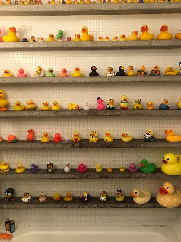 9. "Kaldığım evin banyosunda oyuncak ördek koleksiyonu var."