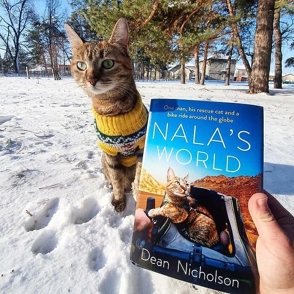 2. Пирот, Сербия