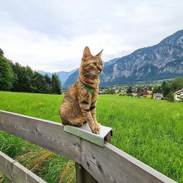 8. Гальштат, Австрия