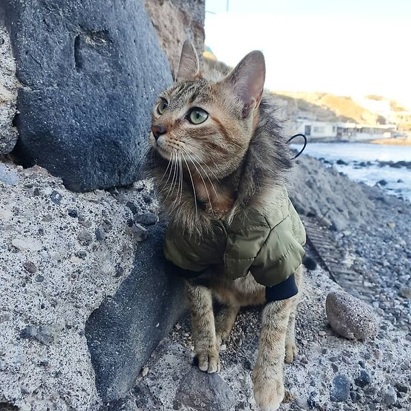 15. Красный пляж Санторини, Греция